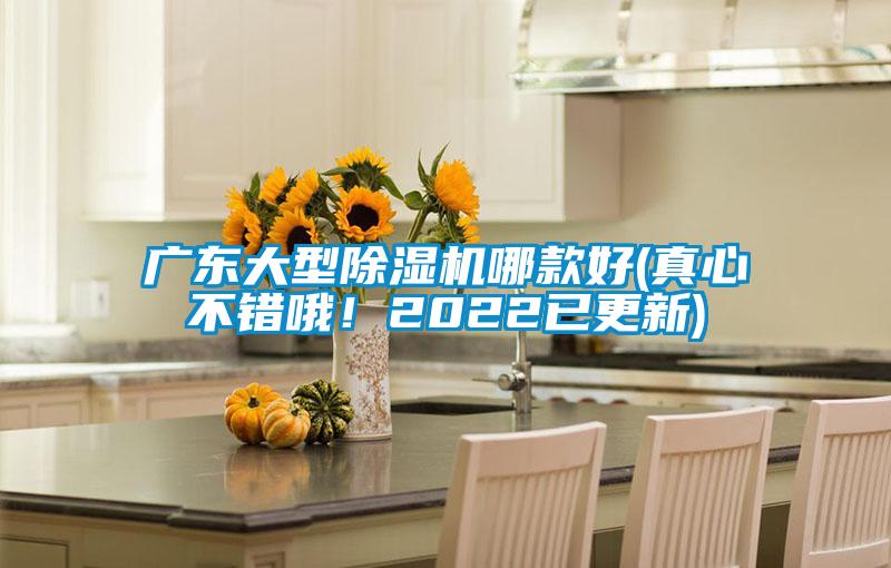 廣東大型除濕機哪款好(真心不錯哦！2022已更新)