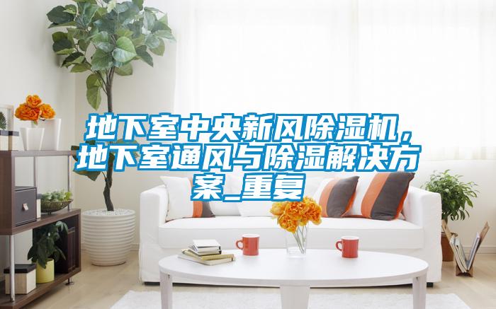 地下室中央新風除濕機，地下室通風與除濕解決方案_重復(fù)