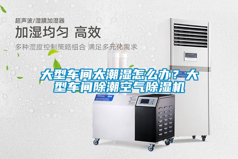 大型車間太潮濕怎么辦？大型車間除潮空氣除濕機