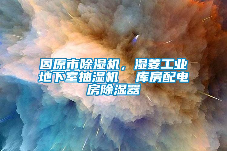 固原市除濕機，濕菱工業(yè)地下室抽濕機  庫房配電房除濕器