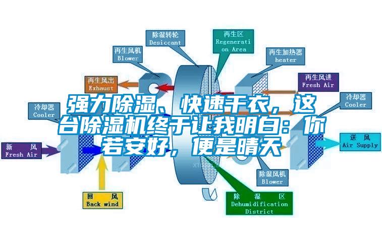 強(qiáng)力除濕、快速干衣，這臺(tái)除濕機(jī)終于讓我明白：你若安好，便是晴天