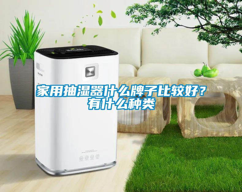 家用抽濕器什么牌子比較好？有什么種類