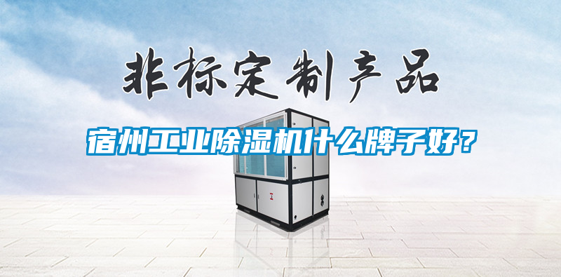 宿州工業(yè)除濕機(jī)什么牌子好？