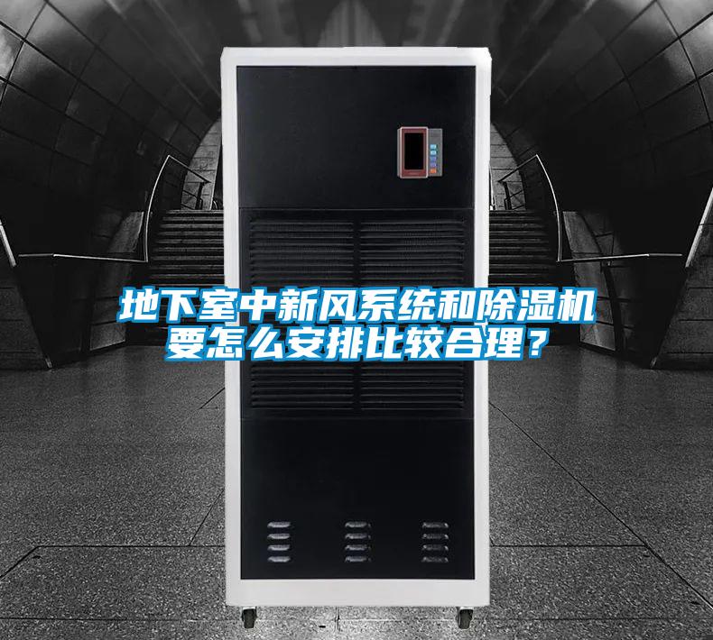 地下室中新風系統(tǒng)和除濕機要怎么安排比較合理？