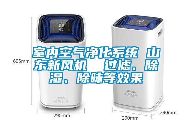室內(nèi)空氣凈化系統(tǒng) 山東新風(fēng)機(jī)  過濾、除濕、除味等效果