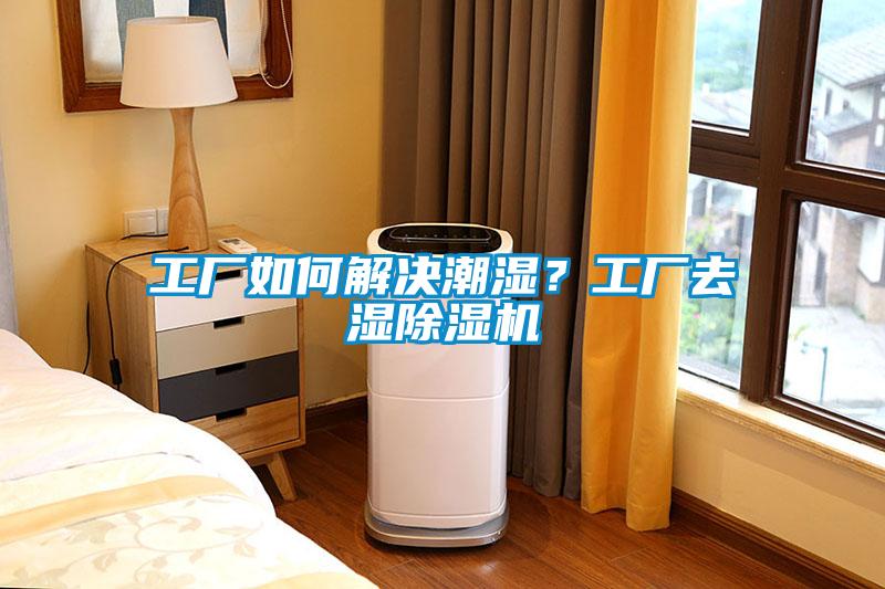 工廠如何解決潮濕？工廠去濕除濕機