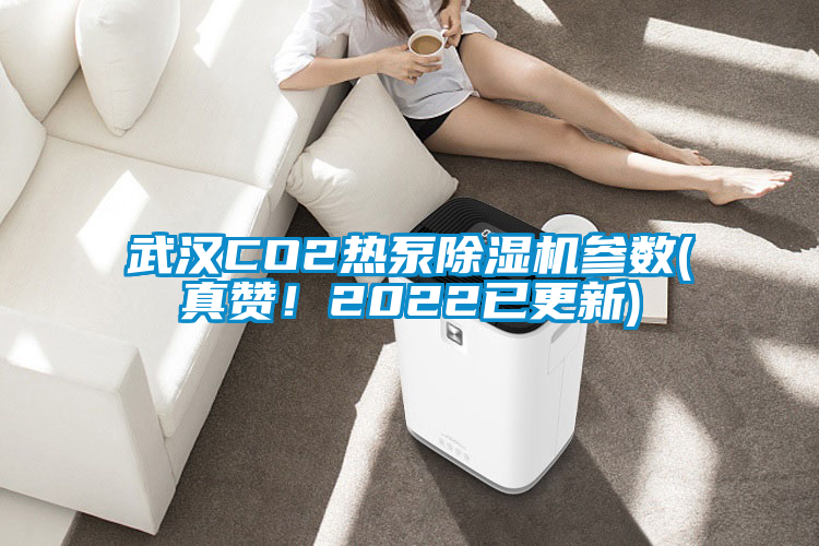 武漢CO2熱泵除濕機參數(shù)(真贊！2022已更新)