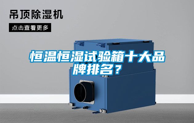 恒溫恒濕試驗(yàn)箱十大品牌排名？