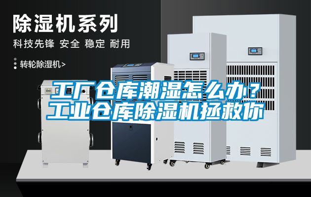 工廠倉(cāng)庫(kù)潮濕怎么辦？工業(yè)倉(cāng)庫(kù)除濕機(jī)拯救你