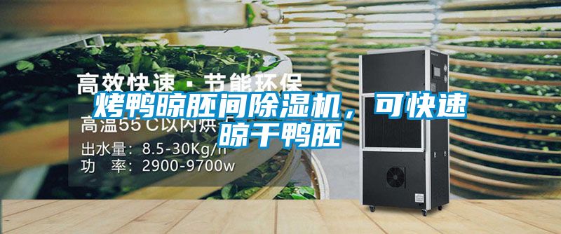 烤鴨晾胚間除濕機，可快速晾干鴨胚