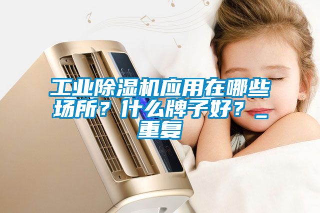 工業(yè)除濕機(jī)應(yīng)用在哪些場(chǎng)所？什么牌子好？_重復(fù)