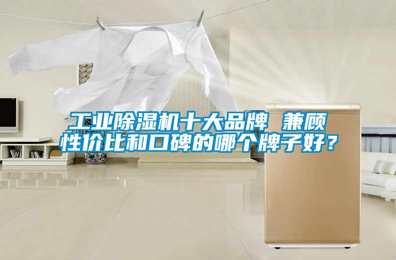 工業(yè)除濕機(jī)十大品牌 兼顧性價(jià)比和口碑的哪個(gè)牌子好？