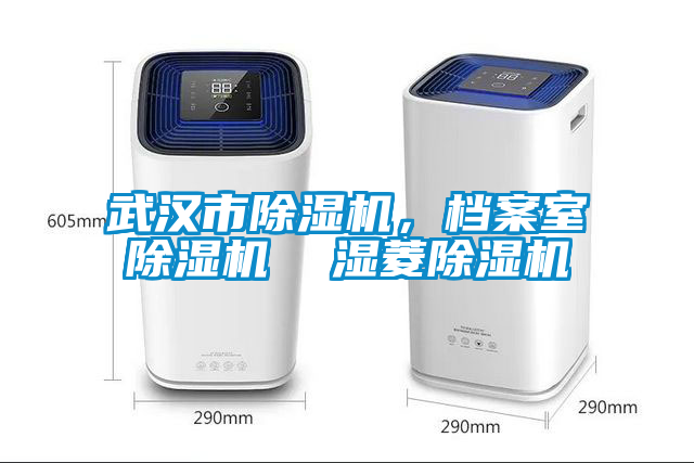 武漢市除濕機(jī)，檔案室除濕機(jī)  濕菱除濕機(jī)