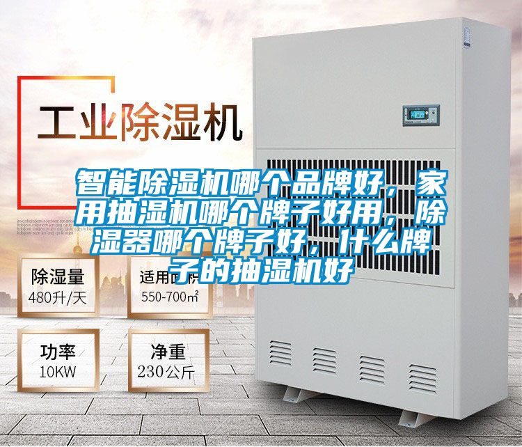 智能除濕機(jī)哪個品牌好，家用抽濕機(jī)哪個牌子好用，除濕器哪個牌子好，什么牌子的抽濕機(jī)好