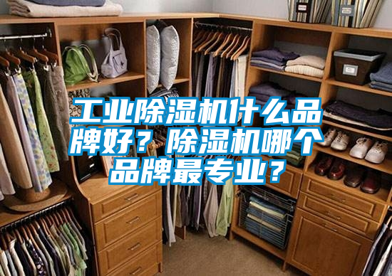 工業(yè)除濕機什么品牌好？除濕機哪個品牌最專業(yè)？