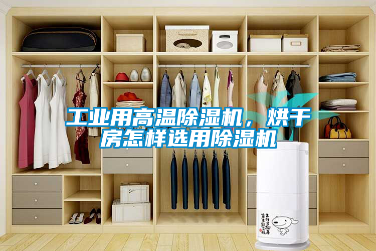 工業(yè)用高溫除濕機，烘干房怎樣選用除濕機