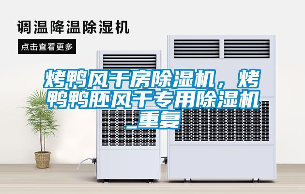 烤鴨風(fēng)干房除濕機(jī)，烤鴨鴨胚風(fēng)干專用除濕機(jī)_重復(fù)
