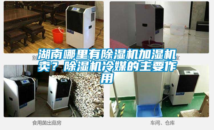 湖南哪里有除濕機(jī)加濕機(jī)賣(mài)？除濕機(jī)冷媒的主要作用