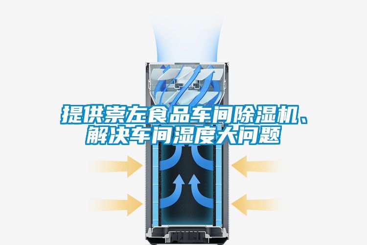 提供崇左食品車(chē)間除濕機(jī)、解決車(chē)間濕度大問(wèn)題