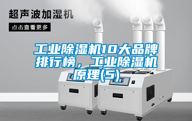 工業(yè)除濕機10大品牌排行榜，工業(yè)除濕機原理(5)