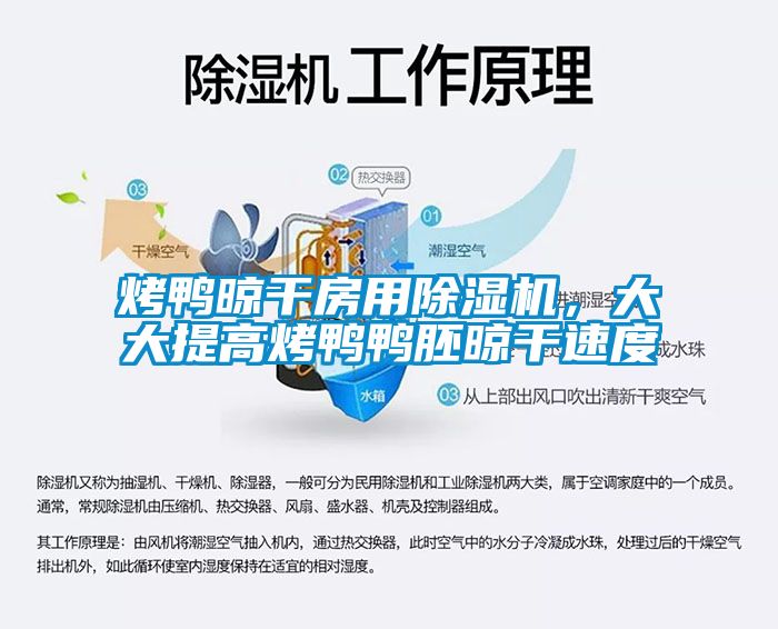 烤鴨晾干房用除濕機，大大提高烤鴨鴨胚晾干速度