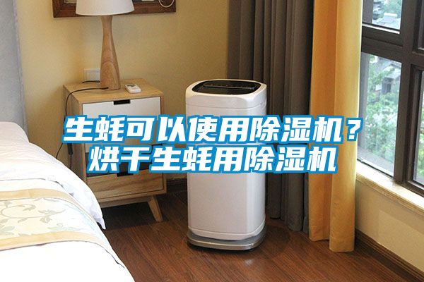 生蠔可以使用除濕機？烘干生蠔用除濕機