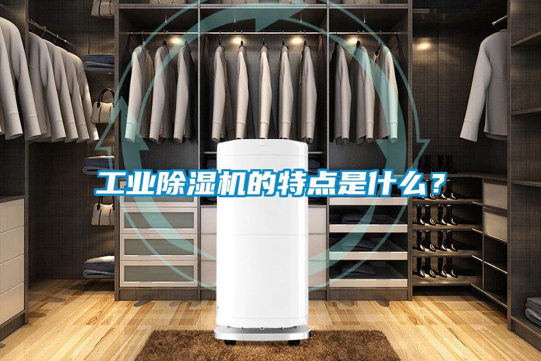 工業(yè)除濕機(jī)的特點(diǎn)是什么？