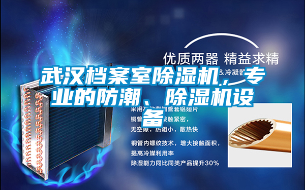 武漢檔案室除濕機，專業(yè)的防潮、除濕機設(shè)備