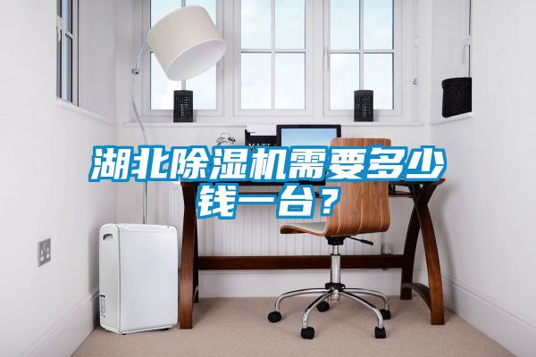 湖北除濕機(jī)需要多少錢一臺(tái)？