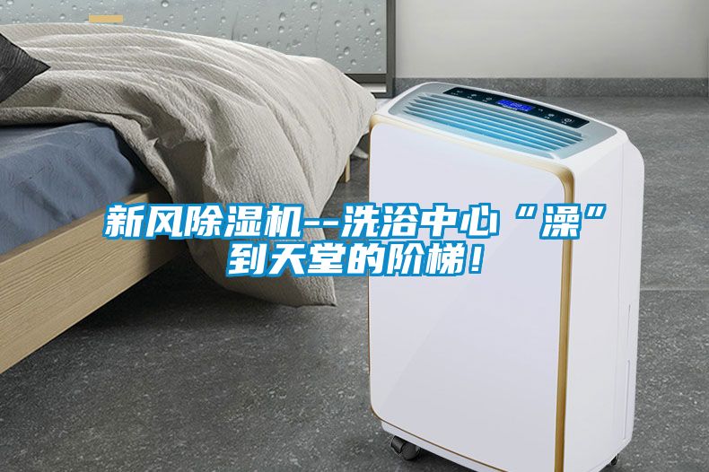 新風除濕機--洗浴中心“澡”到天堂的階梯！