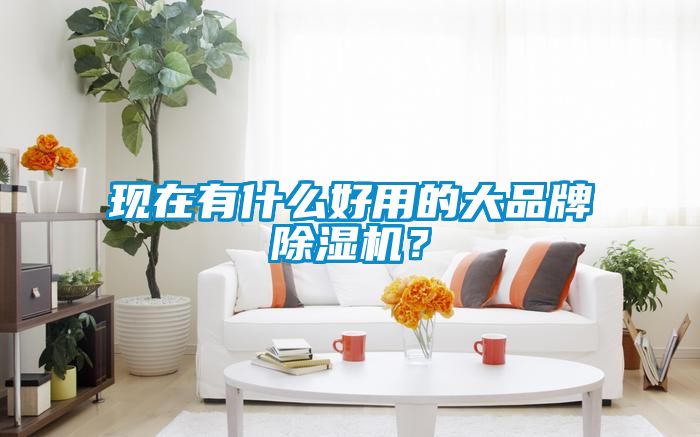 現(xiàn)在有什么好用的大品牌除濕機？