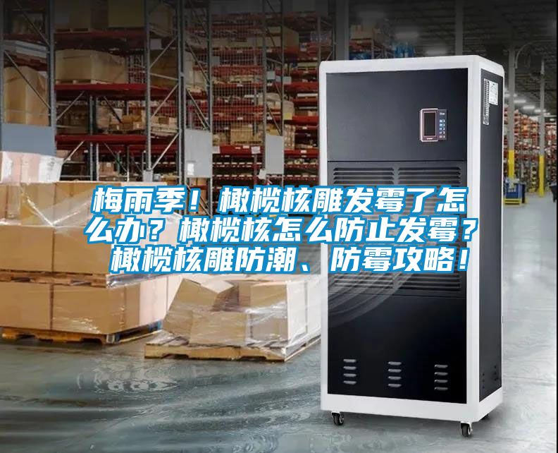 梅雨季！橄欖核雕發(fā)霉了怎么辦？橄欖核怎么防止發(fā)霉？ 橄欖核雕防潮、防霉攻略！