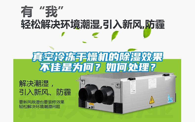 真空冷凍干燥機的除濕效果不佳是為何？如何處理？