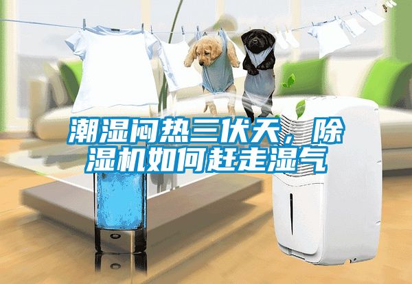 潮濕悶熱三伏天，除濕機如何趕走濕氣