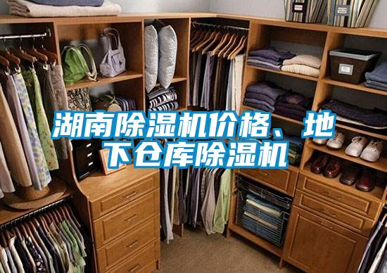 湖南除濕機(jī)價(jià)格、地下倉庫除濕機(jī)