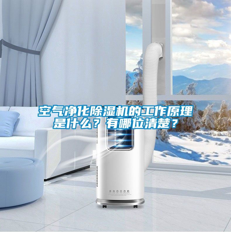空氣凈化除濕機(jī)的工作原理是什么？有哪位清楚？