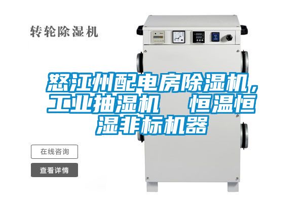 怒江州配電房除濕機(jī)，工業(yè)抽濕機(jī)  恒溫恒濕非標(biāo)機(jī)器
