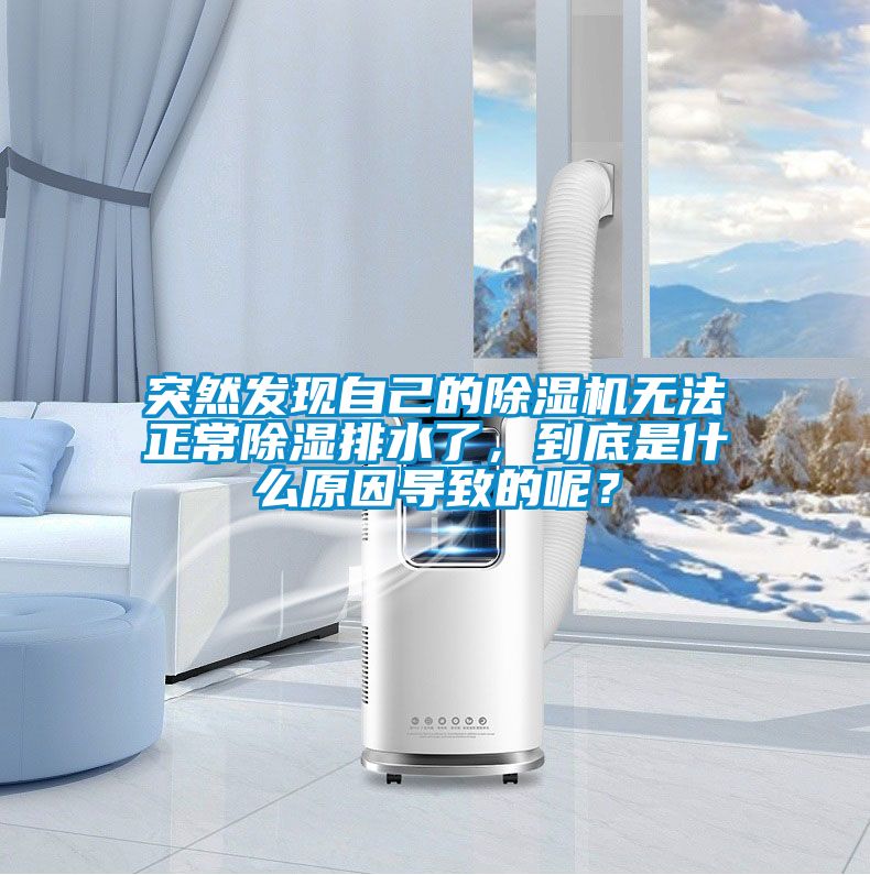 突然發(fā)現(xiàn)自己的除濕機(jī)無法正常除濕排水了，到底是什么原因?qū)е碌哪兀?/></p>
						    <p style=