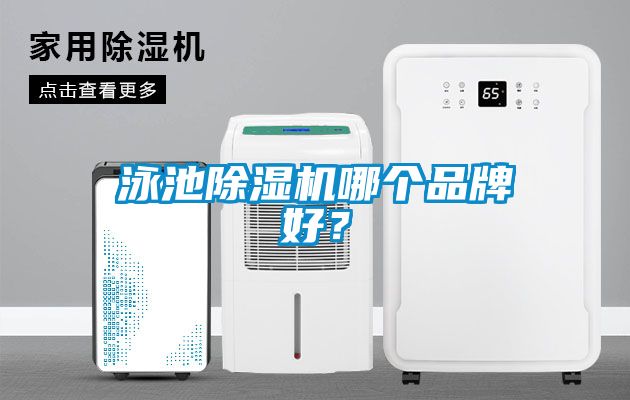 泳池除濕機哪個品牌好？