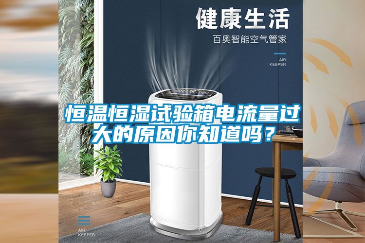 恒溫恒濕試驗箱電流量過大的原因你知道嗎？