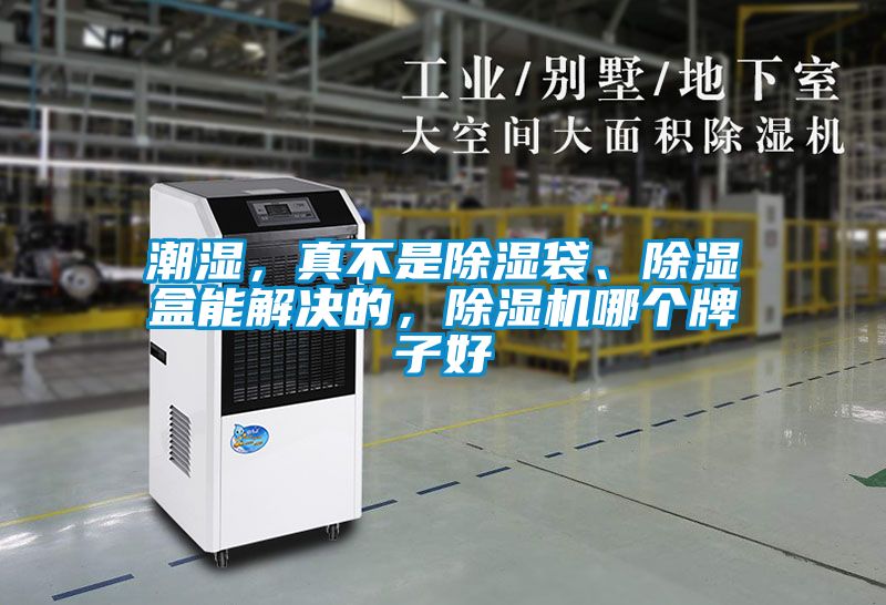 潮濕，真不是除濕袋、除濕盒能解決的，除濕機(jī)哪個牌子好