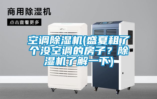 空調(diào)除濕機(盛夏租了個沒空調(diào)的房子？除濕機了解一下)