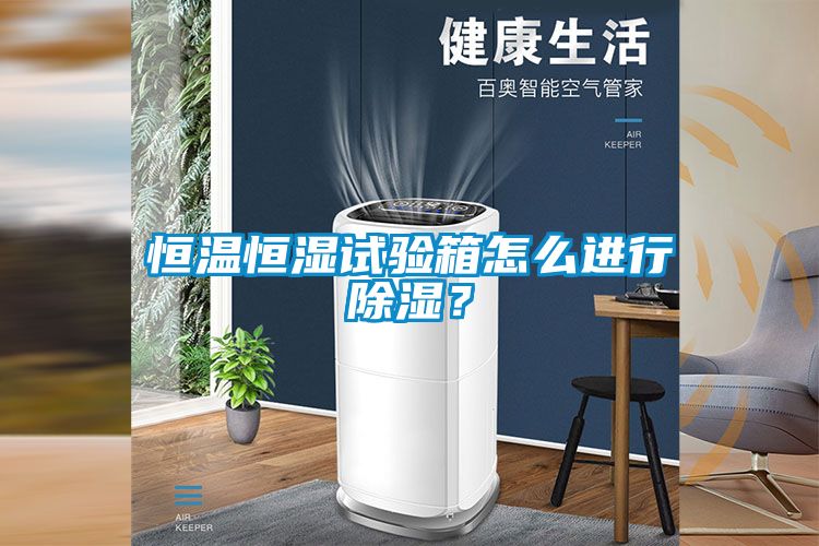 恒溫恒濕試驗箱怎么進行除濕？