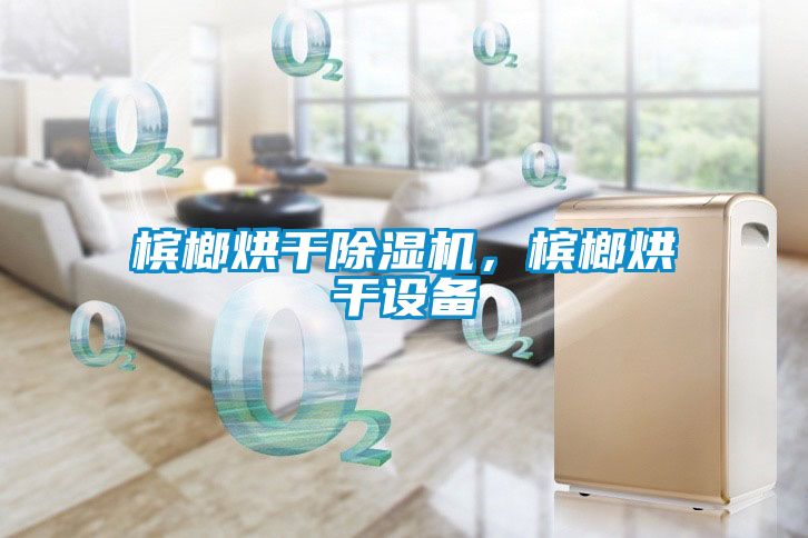 檳榔烘干除濕機，檳榔烘干設(shè)備