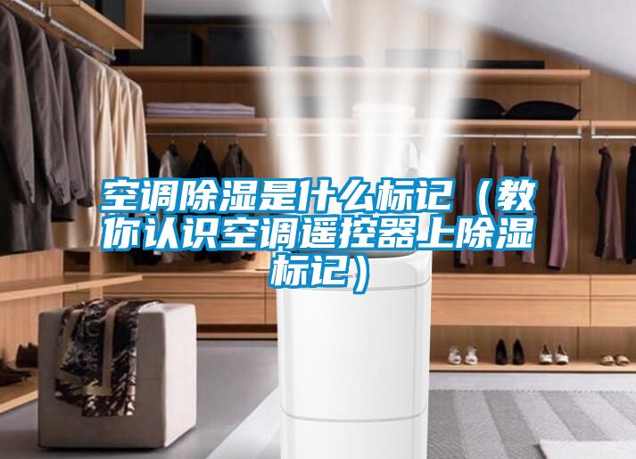 空調(diào)除濕是什么標(biāo)記（教你認識空調(diào)遙控器上除濕標(biāo)記）