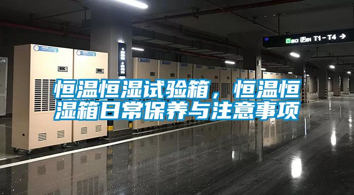 恒溫恒濕試驗(yàn)箱，恒溫恒濕箱日常保養(yǎng)與注意事項(xiàng)