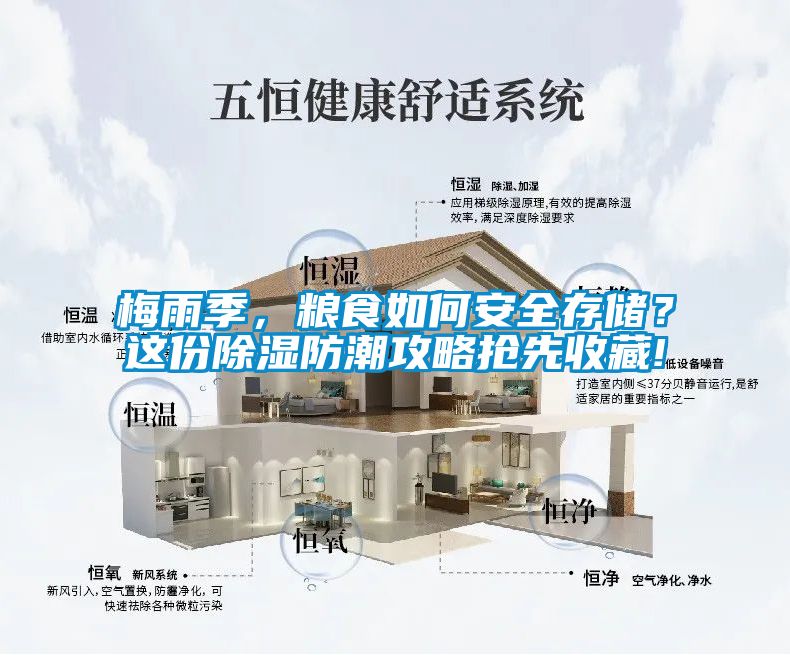 梅雨季，糧食如何安全存儲(chǔ)？這份除濕防潮攻略搶先收藏!