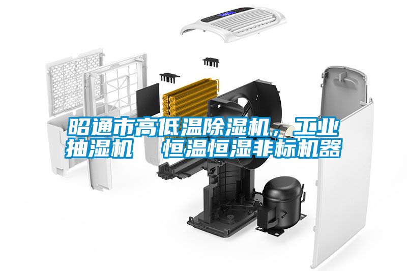 昭通市高低溫除濕機，工業(yè)抽濕機  恒溫恒濕非標機器