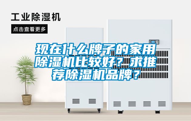 現(xiàn)在什么牌子的家用除濕機比較好？求推薦除濕機品牌？
