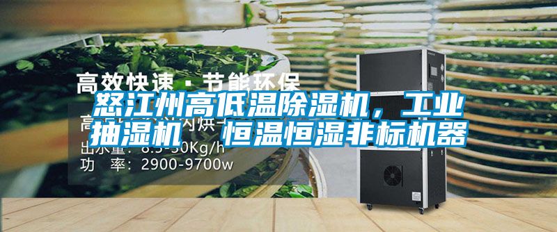 怒江州高低溫除濕機，工業(yè)抽濕機  恒溫恒濕非標(biāo)機器